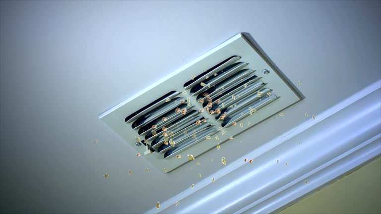 Best Home Air Vent Cleaning  in Lansing, MI