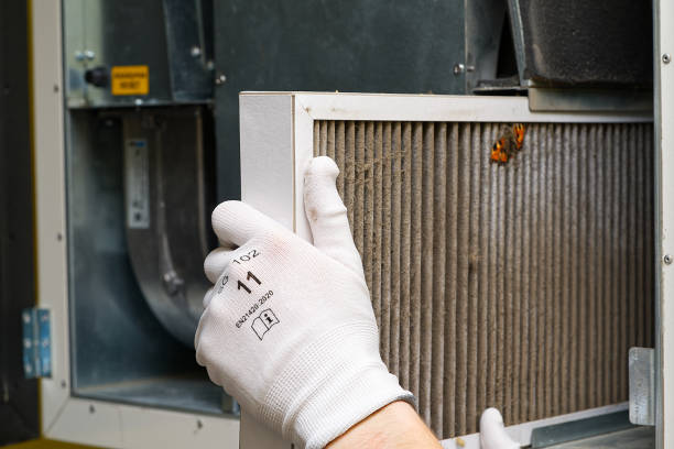 Best HVAC Air Duct Cleaning  in Lansing, MI