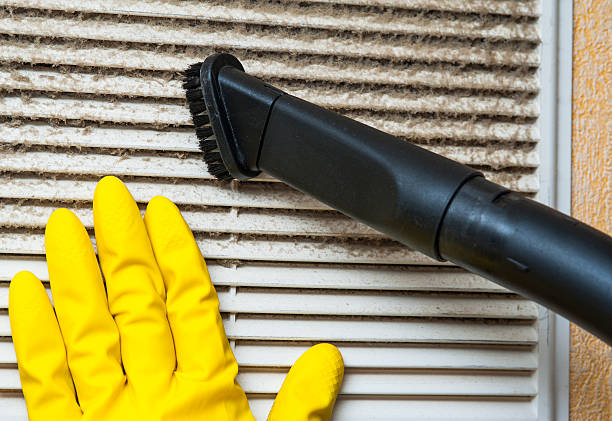 Best Affordable HVAC Duct Cleaning  in Lansing, MI